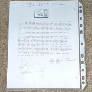 Bluetit Bird Study Stamp - Educational Nature Design